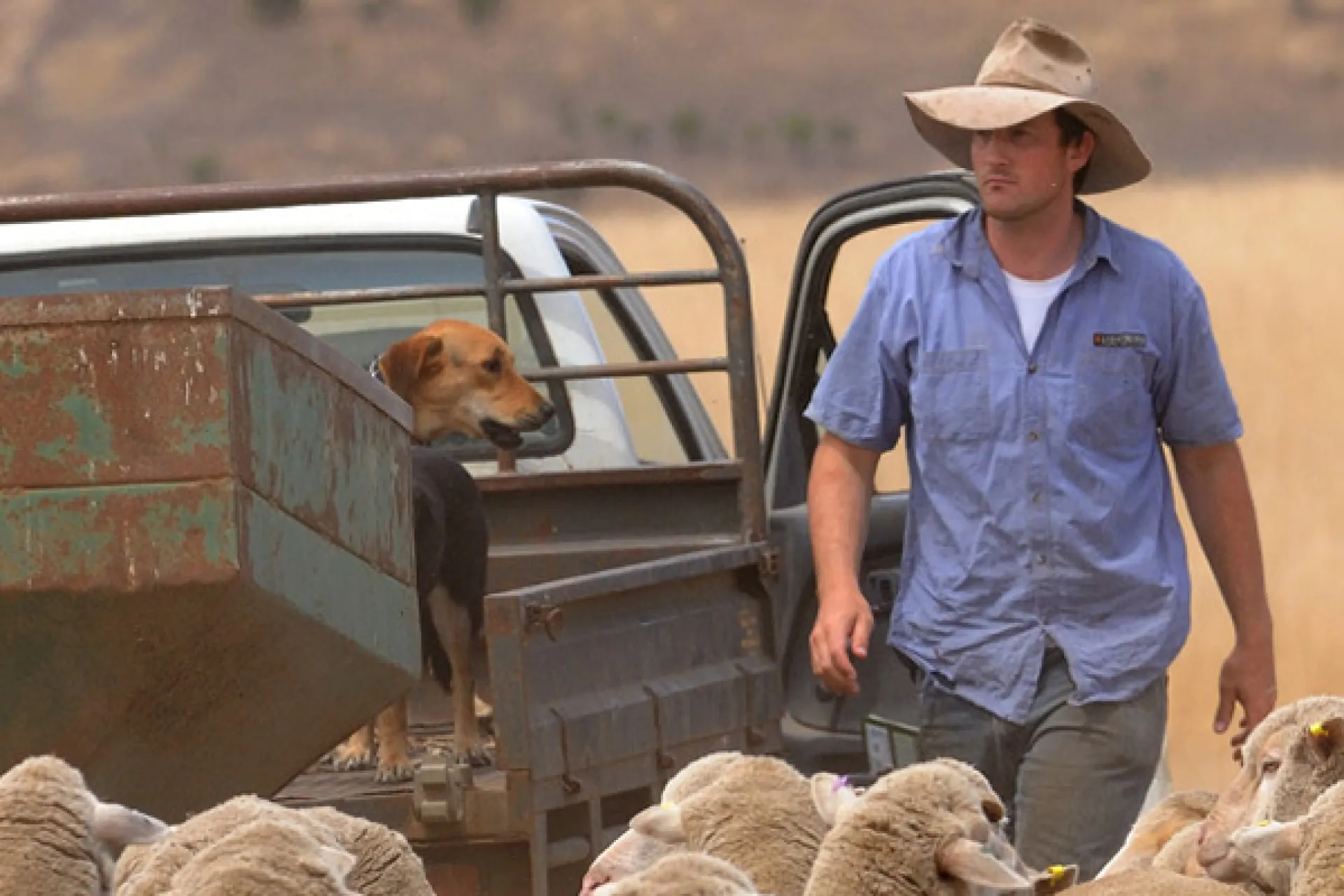 farmer