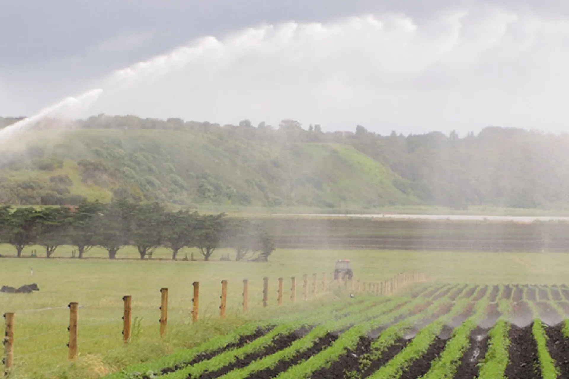 irrigation
