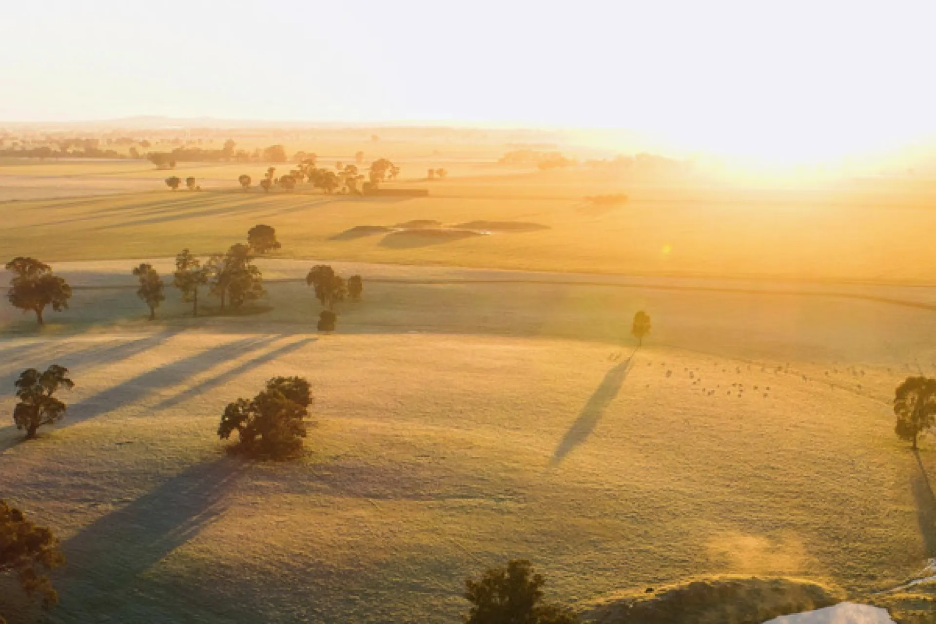 sunrise